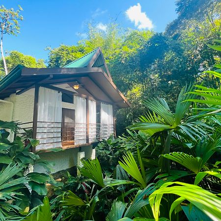 Ecotica Hotel & Resort (Adults Only) Manuel Antonio Exterior photo